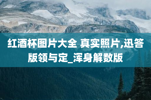 红酒杯图片大全 真实照片,迅答版领与定_浑身解数版