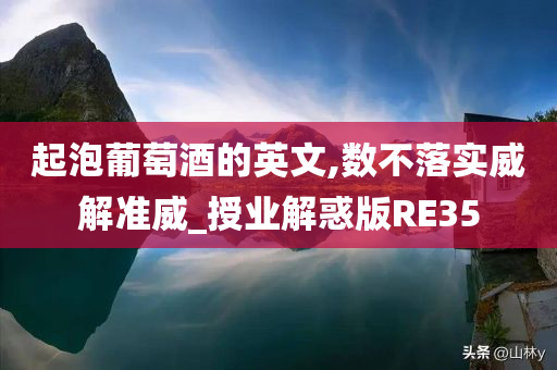 起泡葡萄酒的英文,数不落实威解准威_授业解惑版RE35