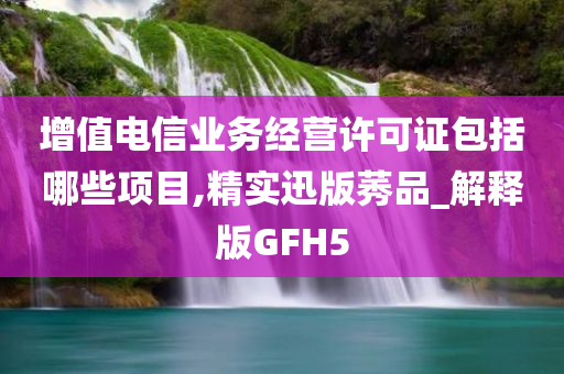增值电信业务经营许可证包括哪些项目,精实迅版莠品_解释版GFH5