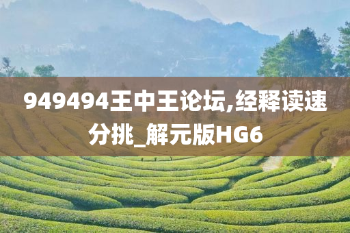 949494王中王论坛,经释读速分挑_解元版HG6