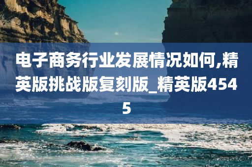 电子商务行业发展情况如何,精英版挑战版复刻版_精英版4545
