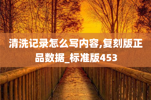 清洗记录怎么写内容,复刻版正品数据_标准版453