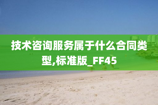 技术咨询合同 第2页