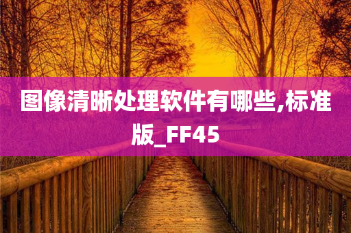 图像清晰处理软件有哪些,标准版_FF45