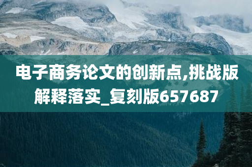 电子商务论文的创新点,挑战版解释落实_复刻版657687