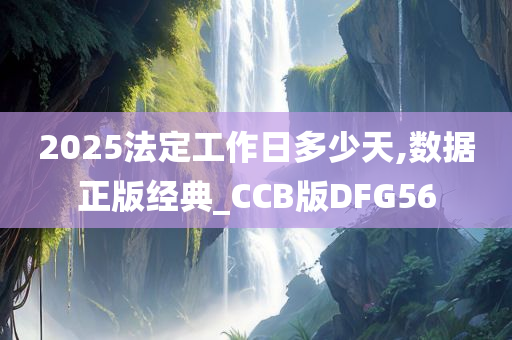 2025法定工作日多少天,数据正版经典_CCB版DFG56