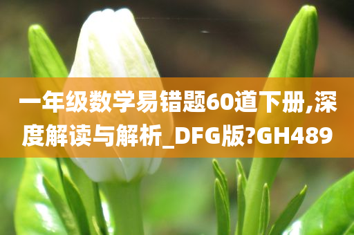一年级数学易错题60道下册,深度解读与解析_DFG版?GH489