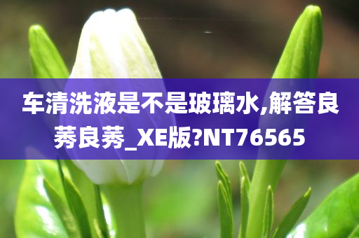 车清洗液是不是玻璃水,解答良莠良莠_XE版?NT76565