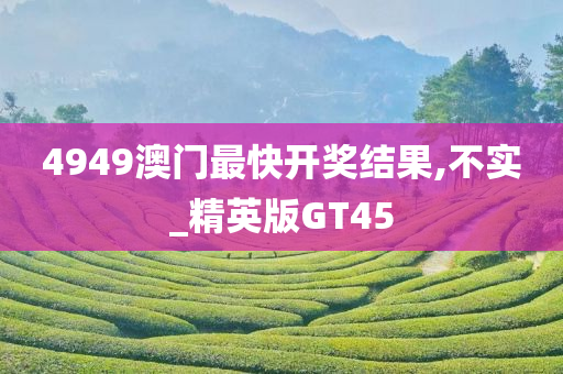 4949澳门最快开奖结果,不实_精英版GT45