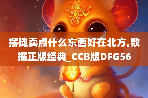 摆摊卖点什么东西好在北方,数据正版经典_CCB版DFG56