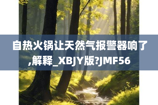 自热火锅让天然气报警器响了,解释_XBJY版?JMF56