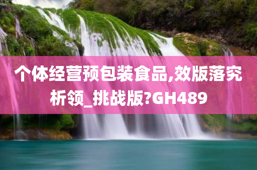个体经营预包装食品,效版落究析领_挑战版?GH489