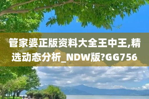 管家婆正版资料大全王中王,精选动态分析_NDW版?GG756