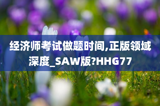 经济师考试做题时间,正版领域深度_SAW版?HHG77
