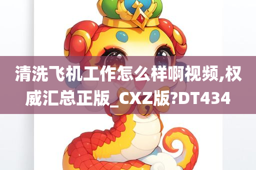 清洗飞机工作怎么样啊视频,权威汇总正版_CXZ版?DT434