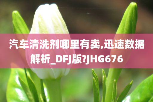 汽车清洗剂哪里有卖,迅速数据解析_DFJ版?JHG676