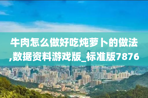 牛肉怎么做好吃炖萝卜的做法,数据资料游戏版_标准版7876