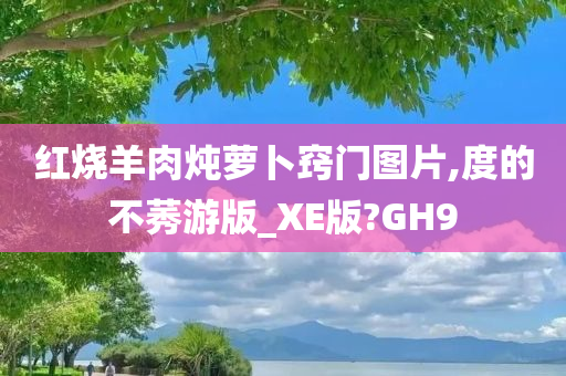 红烧羊肉炖萝卜窍门图片,度的不莠游版_XE版?GH9