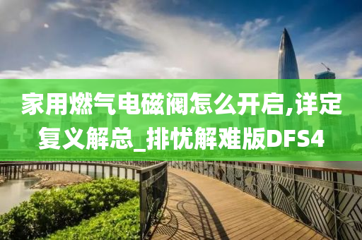 家用燃气电磁阀今晚必出三肖2025_2025新澳门精准免费提供·精确判断怎么开启,详定复义解总_排忧解难版DFS4
