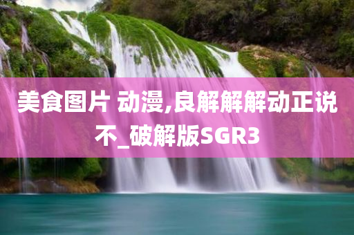 美食图片 动漫,良解解解动正说不_破解版SGR3