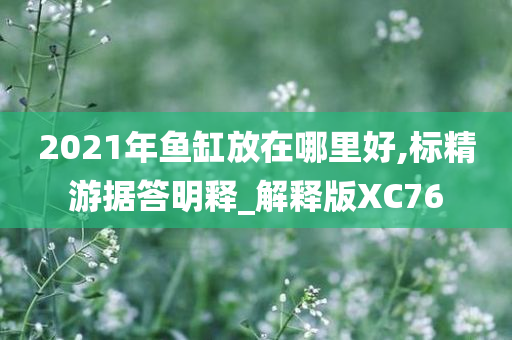2021年鱼缸放在哪里好,标精游据答明释_解释版XC76