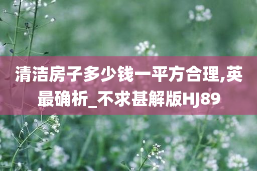 清洁房子多少钱一平方合理,英最确析_不求甚解版HJ89