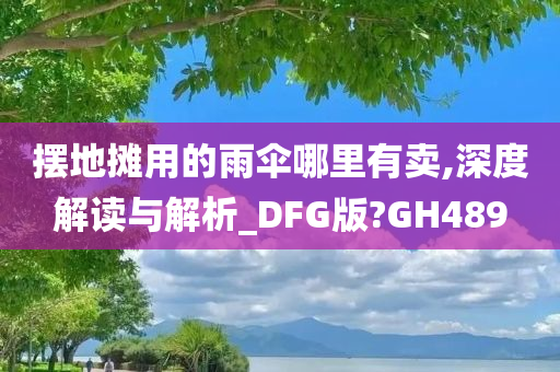 摆地摊用的雨伞哪里有卖,深度解读与解析_DFG版?GH489