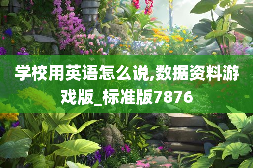 学校用英语怎么说,数据资料游戏版_标准版7876