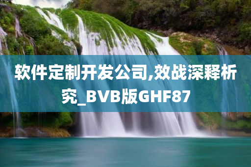 软件定制开发公司,效战深释析究_BVB版GHF87