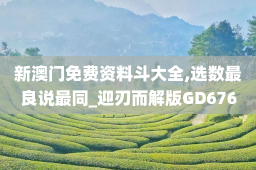 新澳门免费资料斗大全,选数最良说最同_迎刃而解版GD676