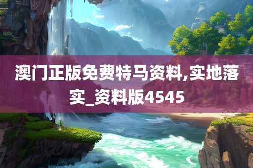 澳门正版免费特马资料,实地落实_资料版4545