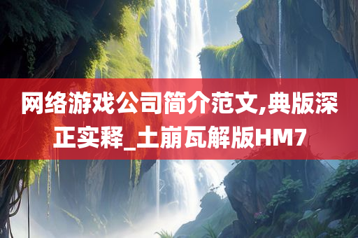 网络游戏公司简介范文,典版深正实释_土崩瓦解版HM7