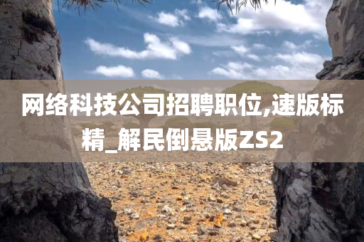 网络科技公司招聘职位,速版标精_解民倒悬版ZS2