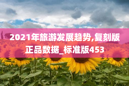 2021年旅游发展趋势,复刻版正品数据_标准版453