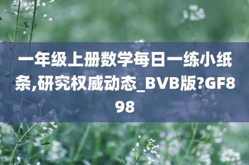 一年级上册数学每日一练小纸条,研究权威动态_BVB版?GF898