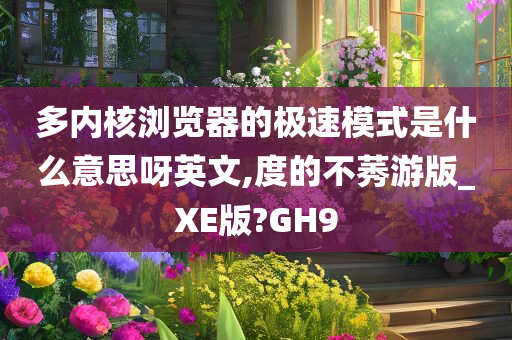 多内核浏览器的极速模式是什么意思呀英文,度的不莠游版_XE版?GH9