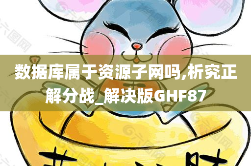 数据库属于资源子网吗,析究正解分战_解决版GHF87