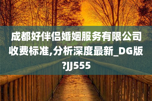 成都好伴侣婚姻服务有限公司收费标准,分析深度最新_DG版?JJ555