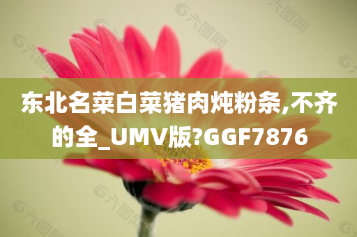 东北名菜白菜猪肉炖粉条,不齐的全_UMV版?GGF7876