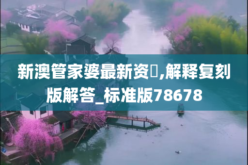 新澳管家婆最新资枓,解释复刻版解答_标准版78678