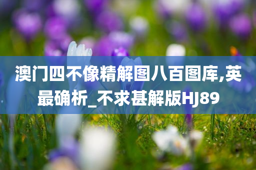 澳门四不像精解图八百图库,英最确析_不求甚解版HJ89