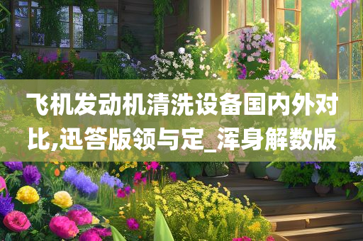 飞机发动机清洗设备国内外对比,迅答版领与定_浑身解数版