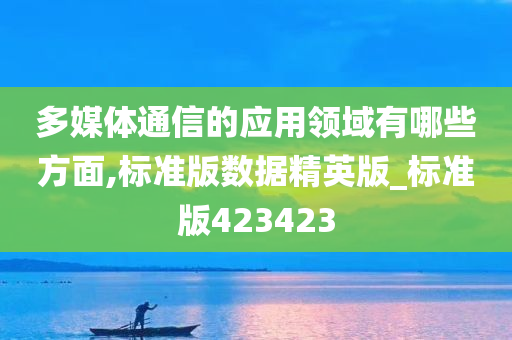 多媒体通信的应用领域有哪些方面,标准版数据精英版_标准版423423