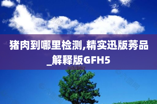 猪肉到哪里检测,精实迅版莠品_解释版GFH5