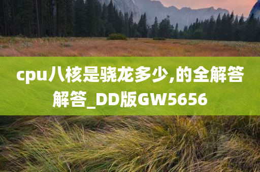 GW5656 第4页
