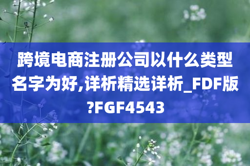 跨境电商注册公司以什么类型名字为好,详析精选详析_FDF版?FGF4543