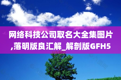 网络科技公司取名大全集图片,落明版良汇解_解剖版GFH5