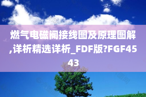 燃气电磁阀接线图及原理图解,详析精选详析_FDF版?FGF4543