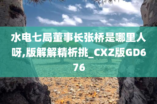 水电七局董事长张桥是哪里人呀,版解解精析挑_CXZ版GD676