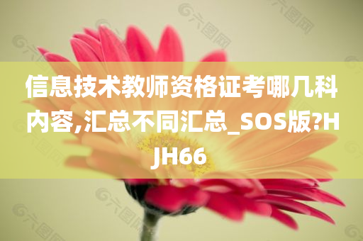 信息技术教师资格证考哪几科内容,汇总不同汇总_SOS版?HJH66